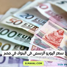 سعر اليورو الرسمى فى البنوك في مصر اليوم